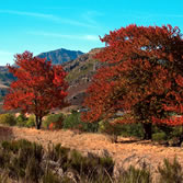 Babia - Paisaje del Valle de Babia