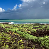 Lanzarote - Monumento Natural de la Corona