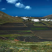 Lanzarote - Caldera Guigua. Cráter con cultivos bajo cenizas volcánicas