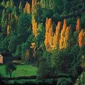 Ordesa-Viñamala - Paisaje humanizado en la comarca de Sobrarbe