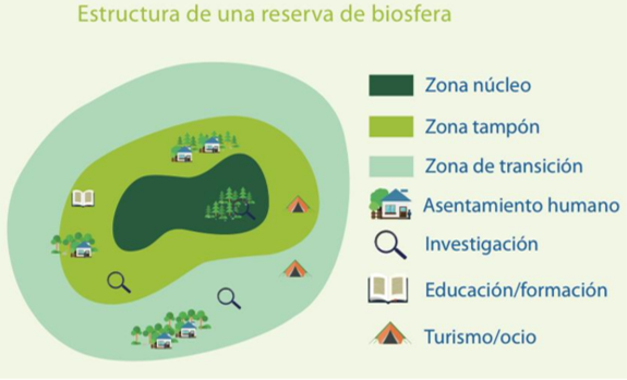Estructura de una reserva de la biosfera