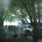 Terras do Miño - Tierras de piedra y agua, inmersas bajo el hechizo de la niebla