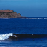 Urdaibai - Es un lugar privilegiado para la práctica del surf, siendo la ola izquierda de Mundaka un referente mundial