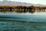 CABO DE GATA-NÍJAR | La desembocadura de Rambla Morales forma una laguna costera frecuentada por los flamencos