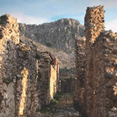 Sierra de Grazalema - Rebaño de ovejas merinas grazalameñas